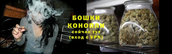 spice Аркадак
