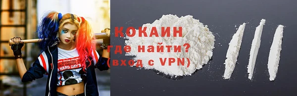 прущие грибы Арсеньев