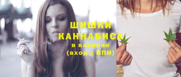 spice Аркадак