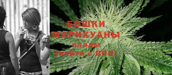 spice Аркадак