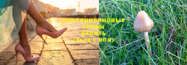 spice Аркадак