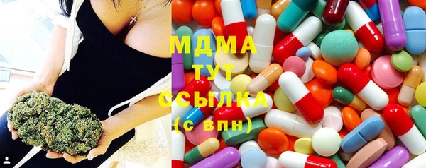 apvp Краснослободск