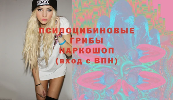 прущие грибы Арсеньев