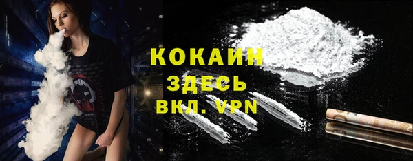 прущие грибы Арсеньев